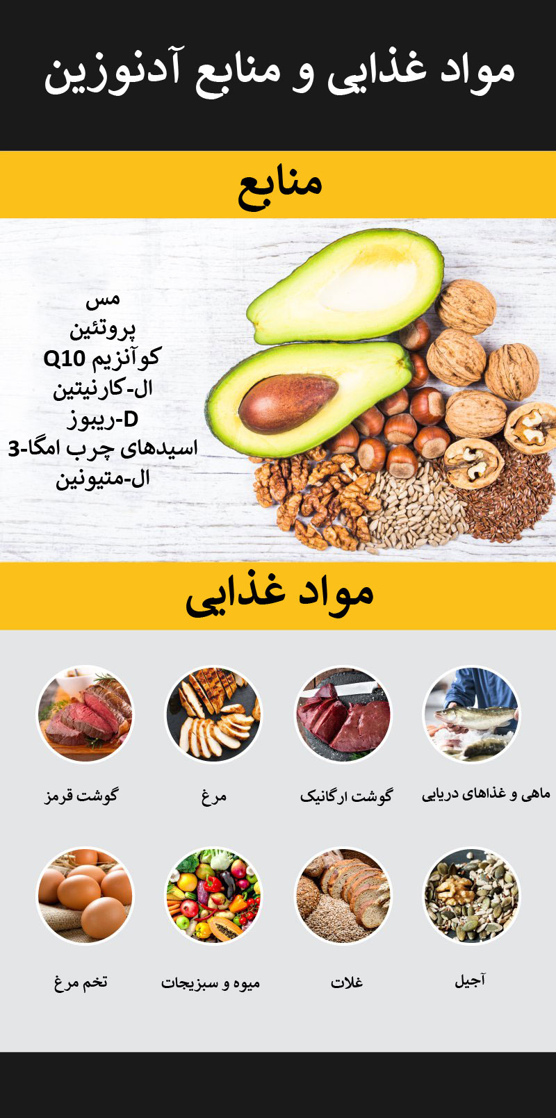 مواد غذایی و منابع آدنوزین
