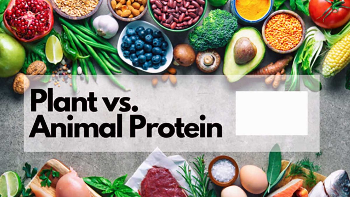تفاوت پروتئین حیوانی و گیاهی